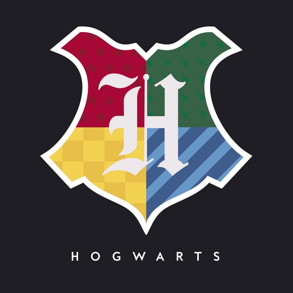Harry Potter - sportska torba Hogwarts